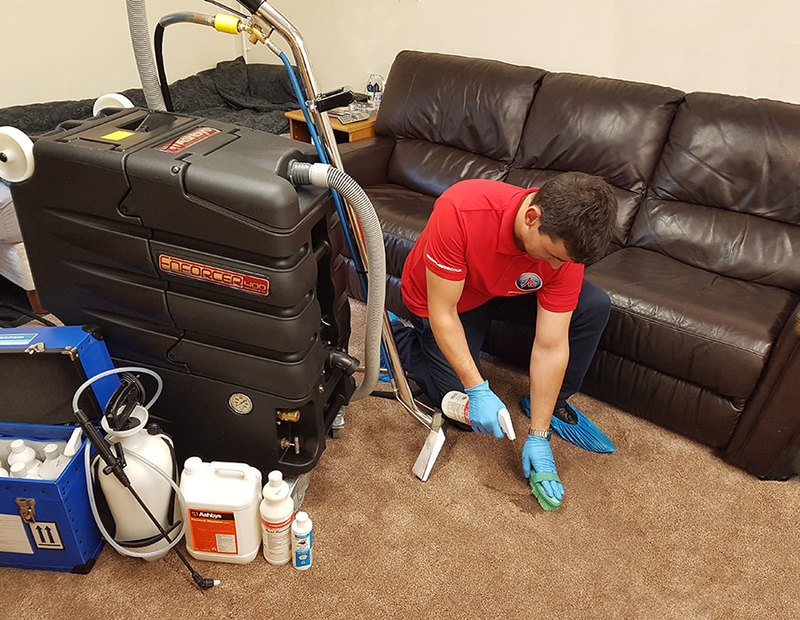 Professional Carpet Cleaning